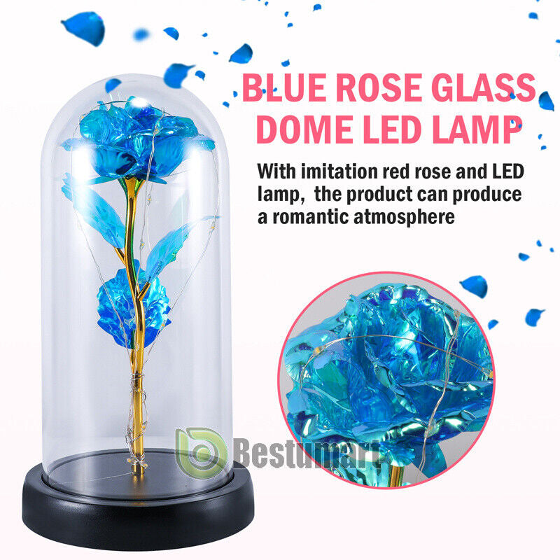 Rose LED Light Glass Gifts for Wife Women Mom Her Christmas Girlfriend Birthday